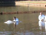 Momentos do Batismo nas águas.